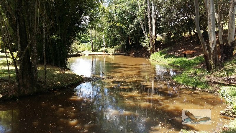 Fazenda à venda com 8 quartos, 30000m² - Foto 7