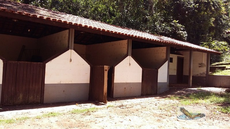 Fazenda à venda com 8 quartos, 30000m² - Foto 22