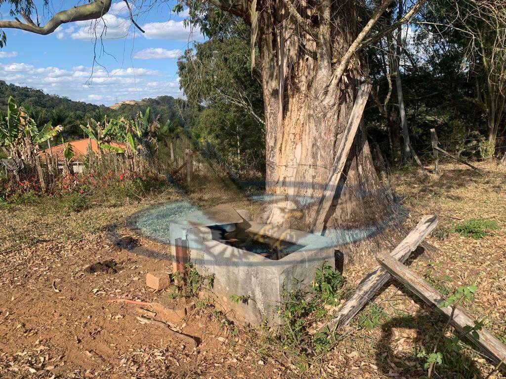 Fazenda à venda com 3 quartos, 43000m² - Foto 30