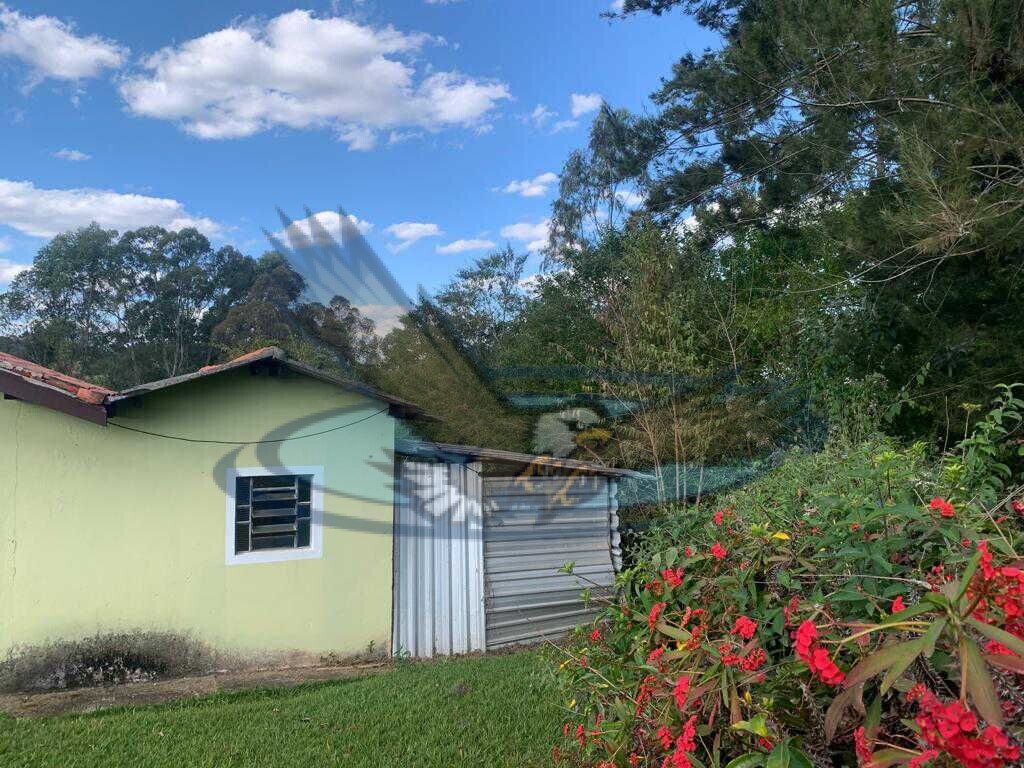 Fazenda à venda com 3 quartos, 43000m² - Foto 8