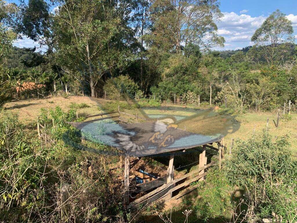 Fazenda à venda com 3 quartos, 43000m² - Foto 40