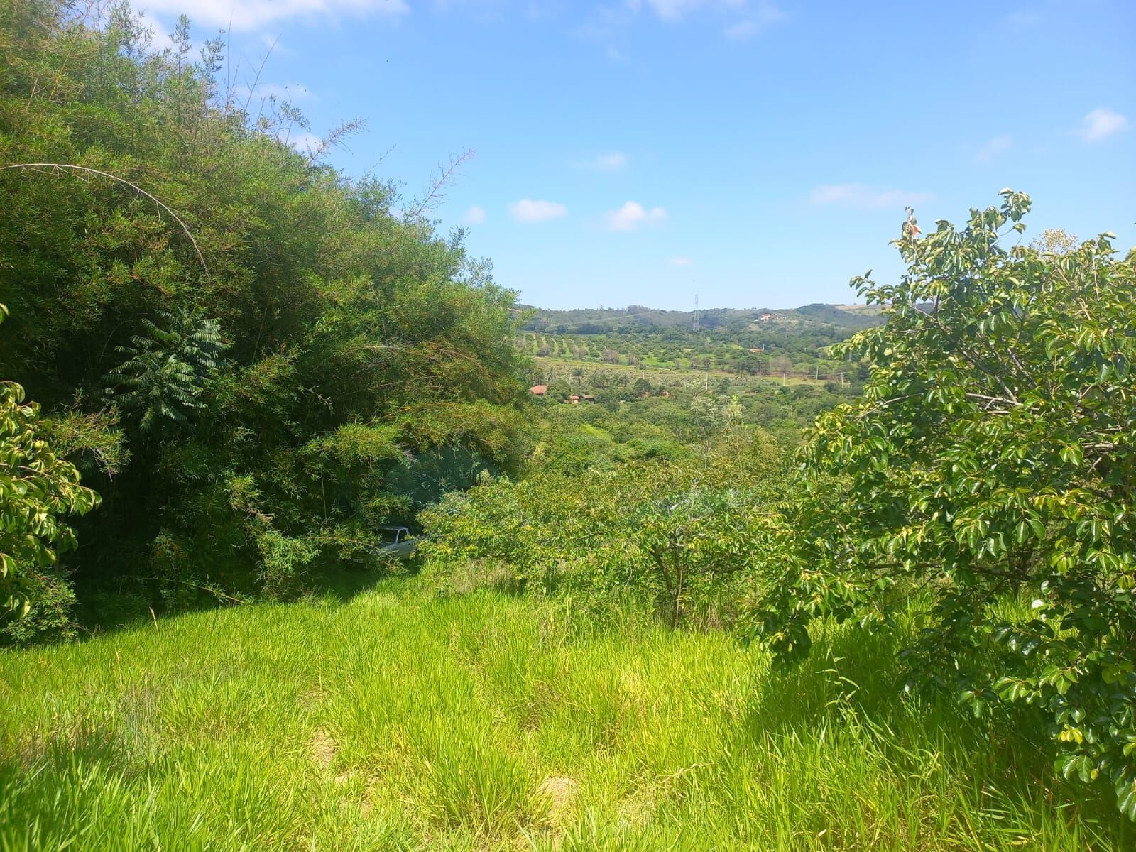 Sítio, 10 hectares - Foto 10