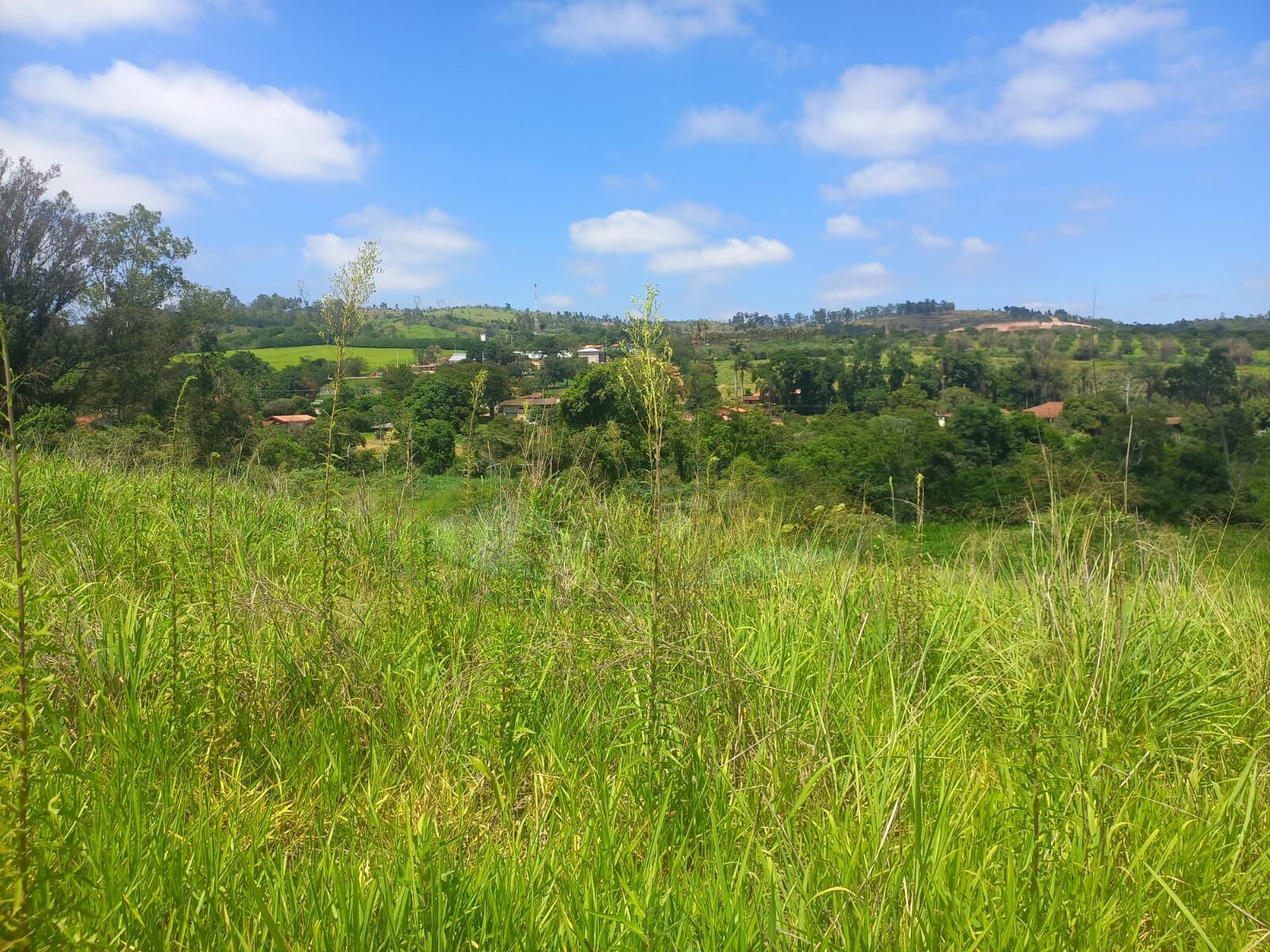 Sítio, 10 hectares - Foto 9