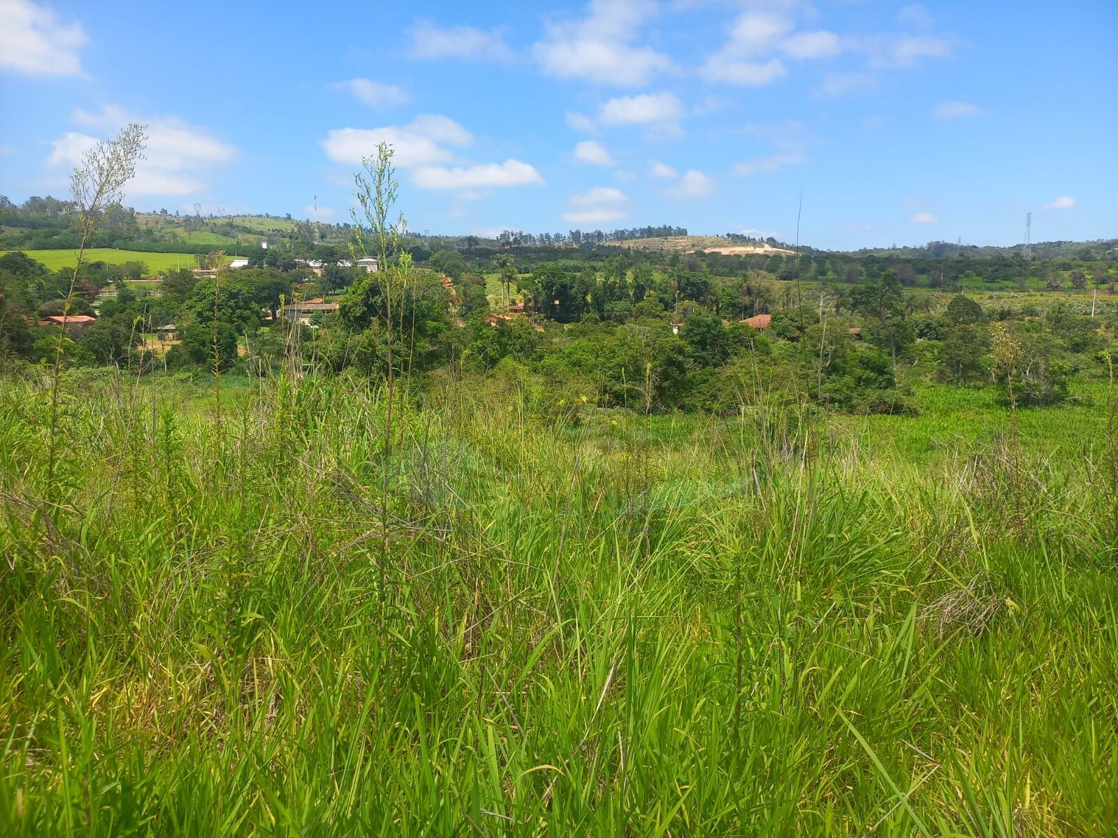 Sítio, 10 hectares - Foto 6