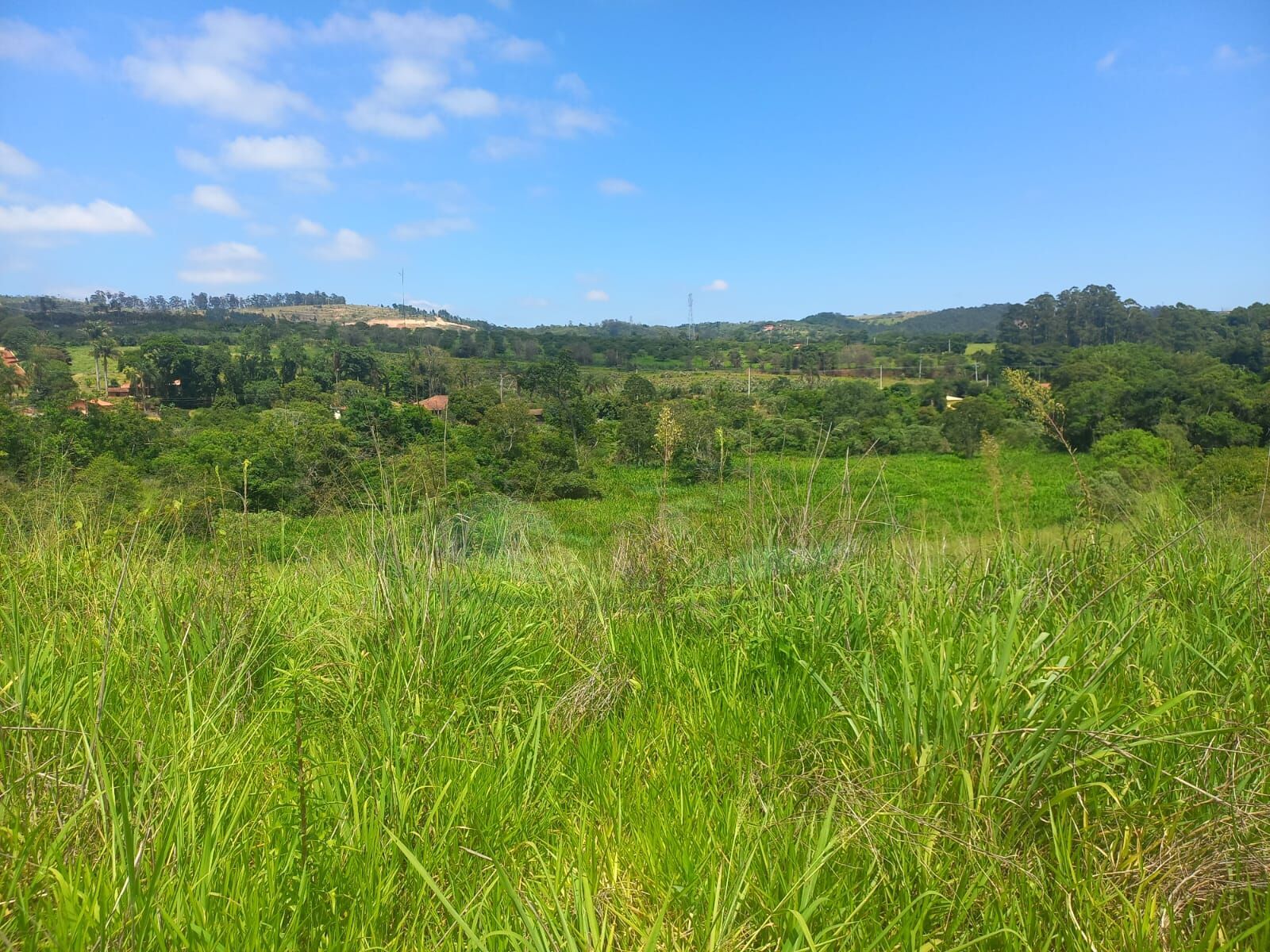 Sítio, 10 hectares - Foto 5