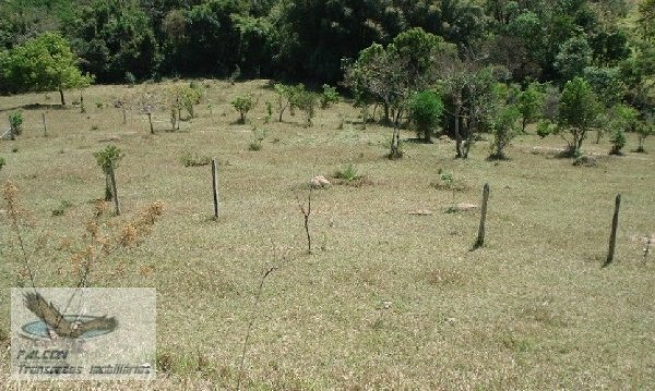 Terreno à venda, 126000m² - Foto 3