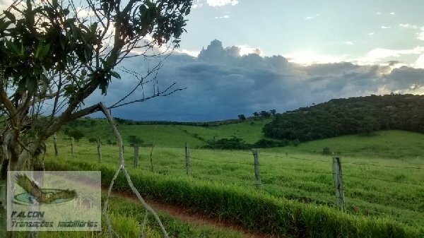 Terreno à venda, 126000m² - Foto 5