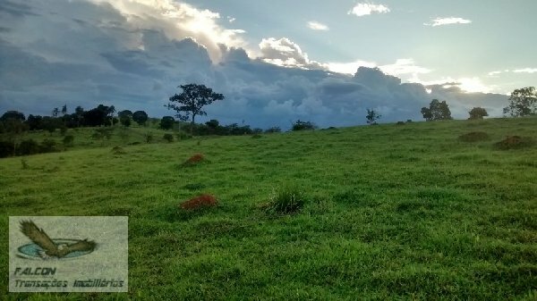 Terreno à venda, 126000m² - Foto 7