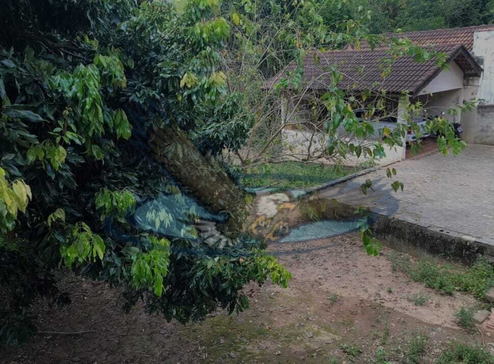 Fazenda à venda com 3 quartos, 1000m² - Foto 13