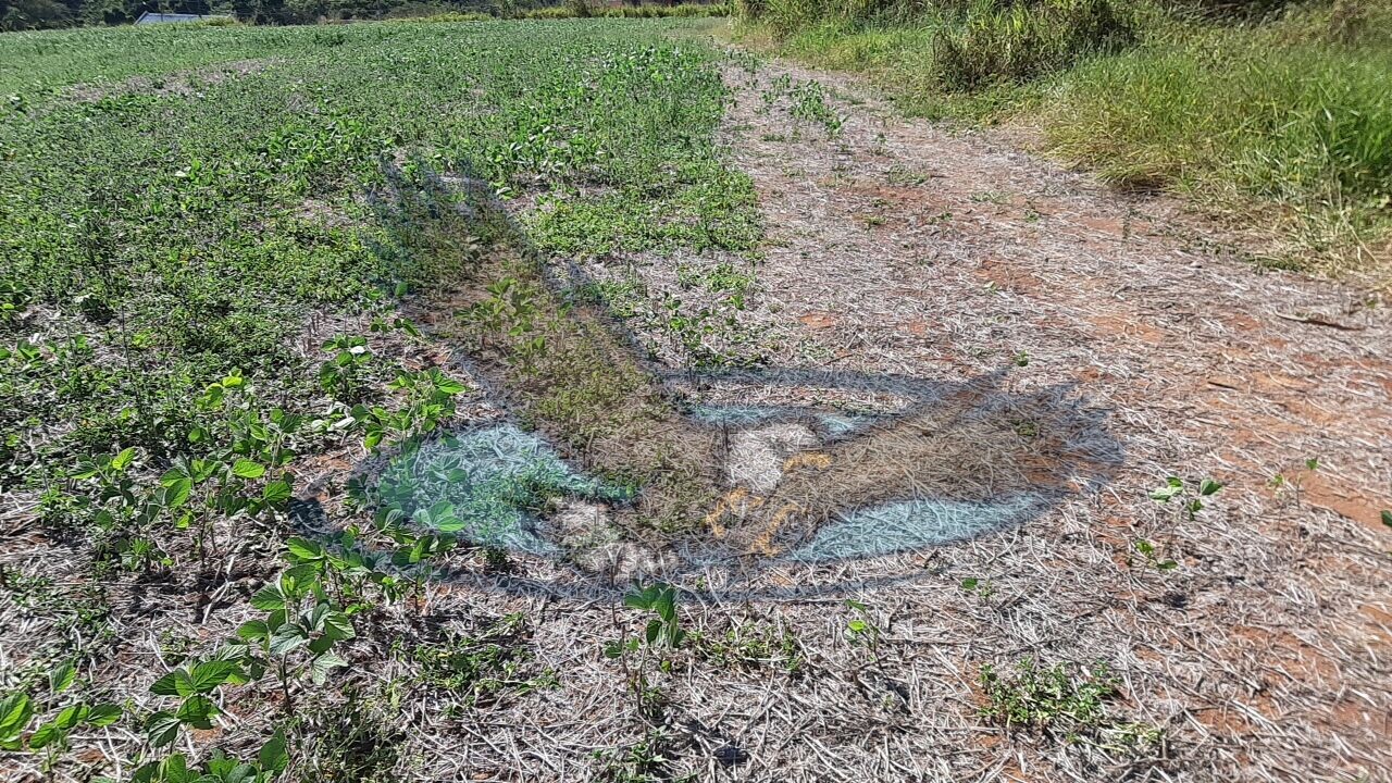 Loteamento e Condomínio à venda, 160000m² - Foto 4