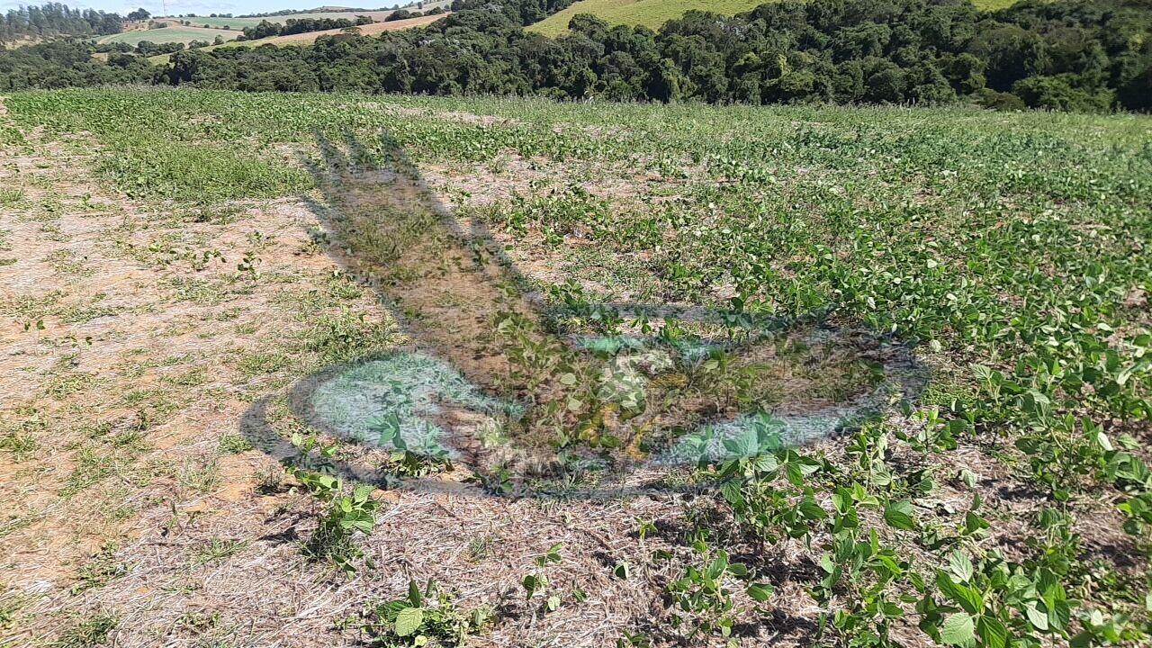 Loteamento e Condomínio à venda, 160000m² - Foto 9