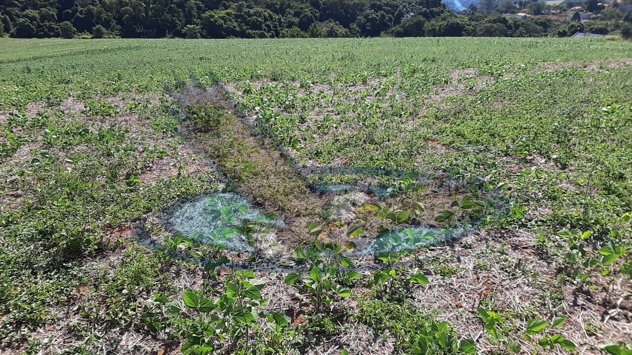 Loteamento e Condomínio à venda, 160000m² - Foto 1