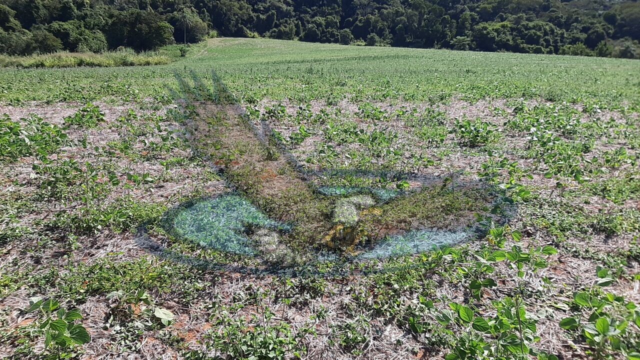 Loteamento e Condomínio à venda, 160000m² - Foto 2