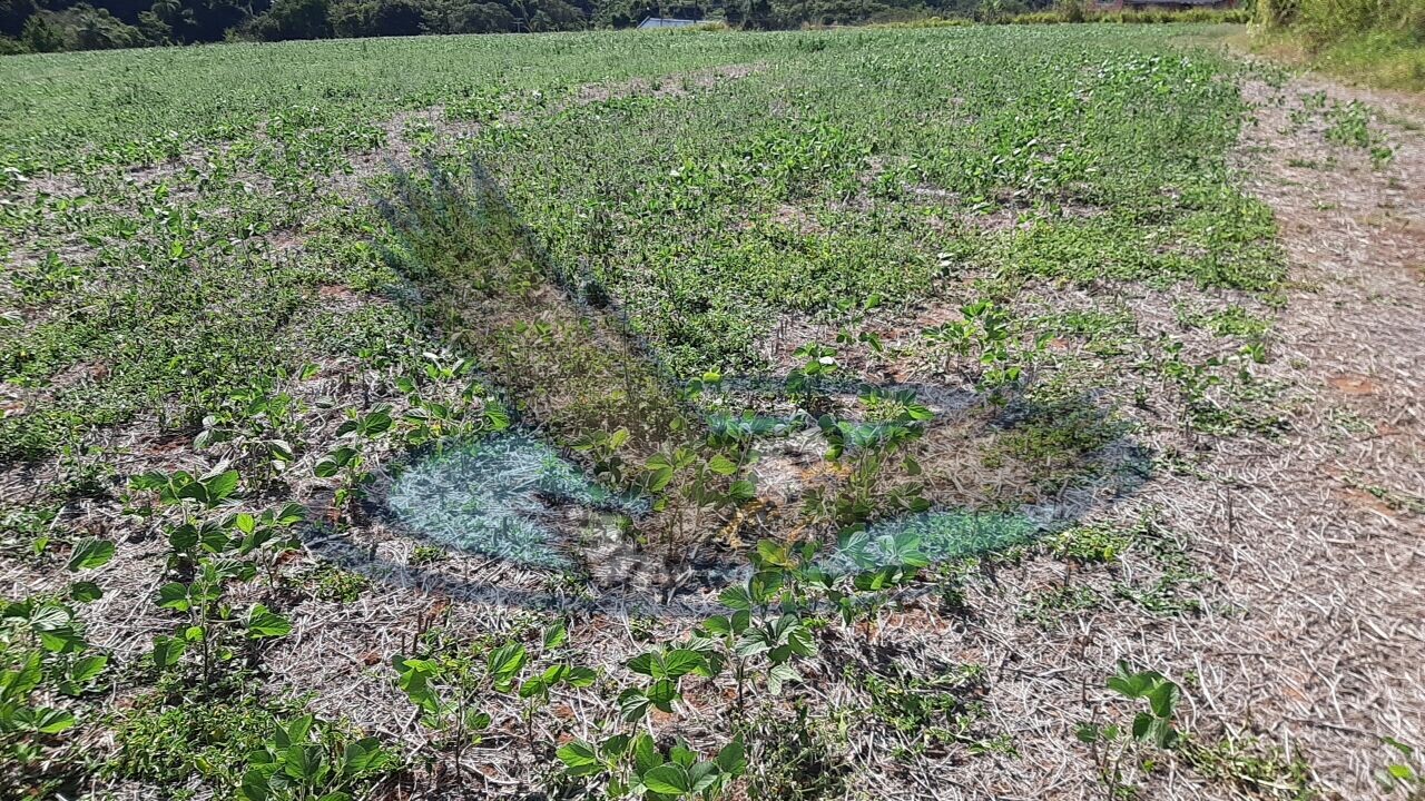 Loteamento e Condomínio à venda, 160000m² - Foto 3