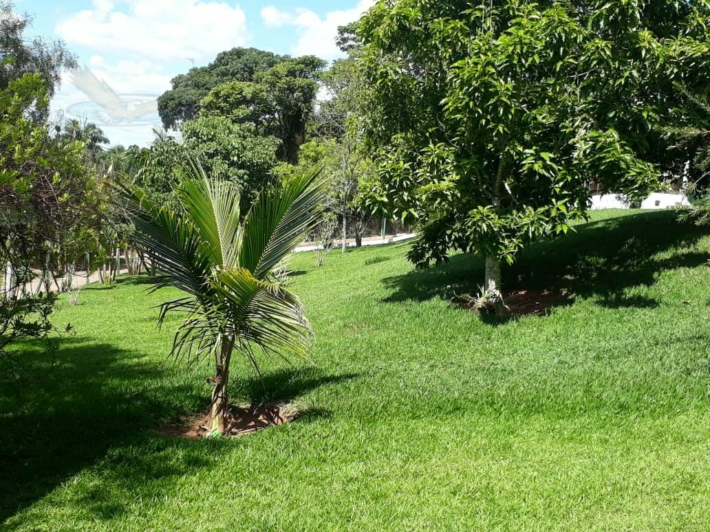 Fazenda à venda com 2 quartos, 5100m² - Foto 3