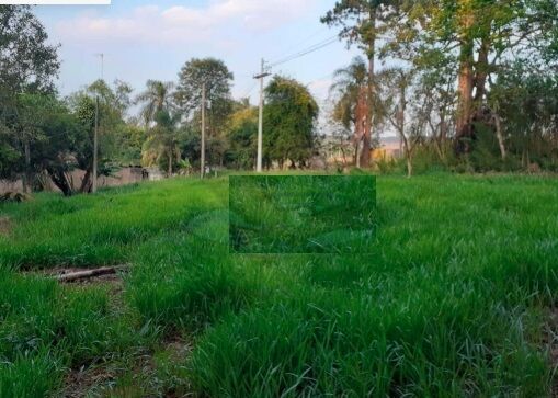 Terreno, 4377 m² - Foto 3