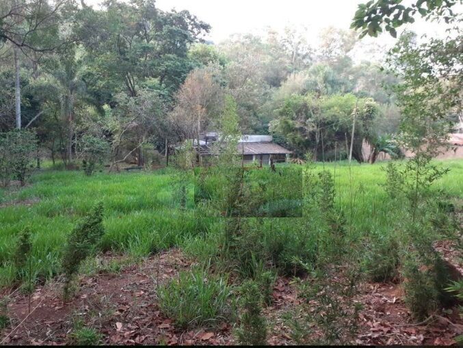 Terreno, 4377 m² - Foto 4