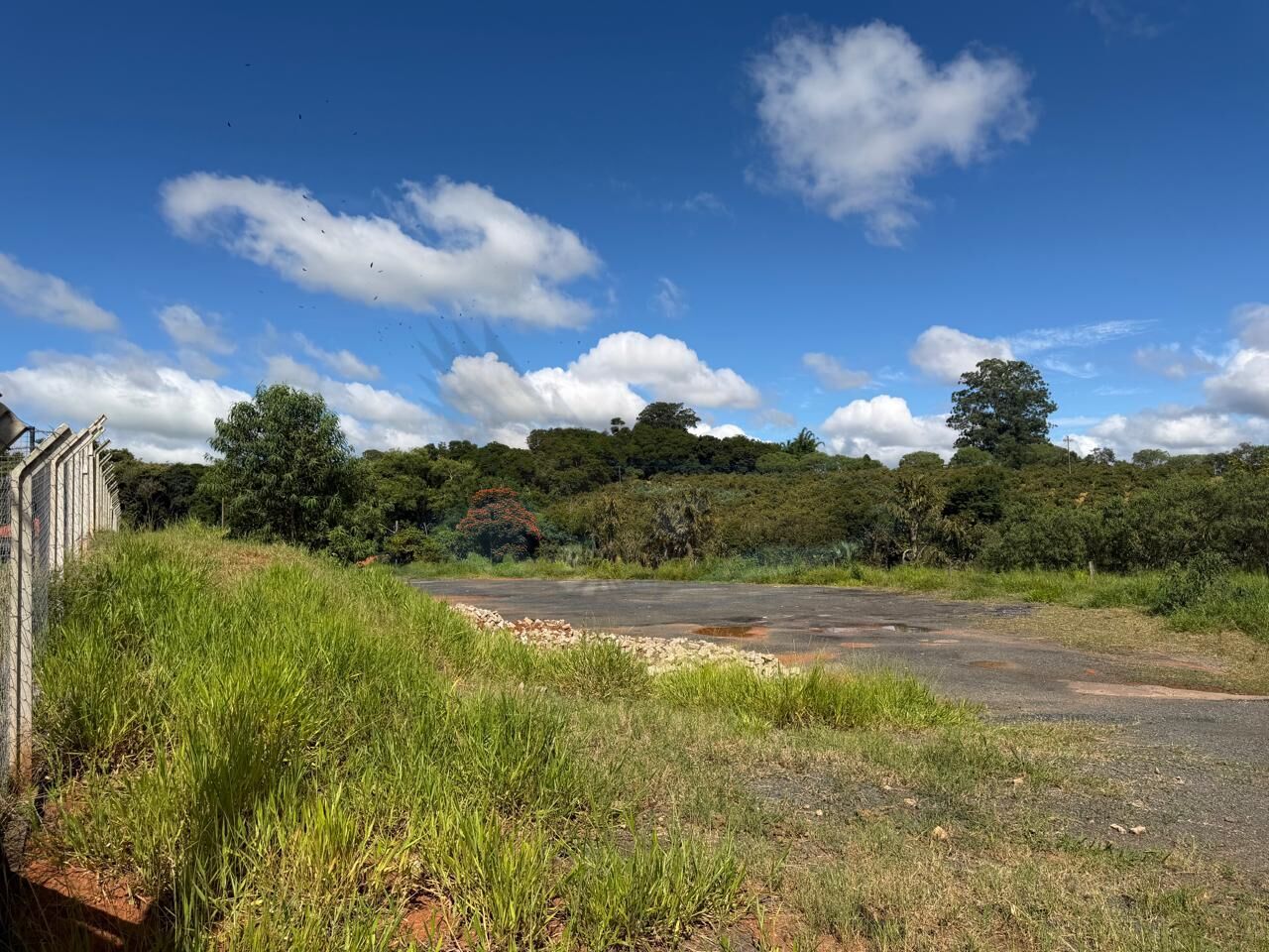 Depósito-Galpão, 1029 m² - Foto 10