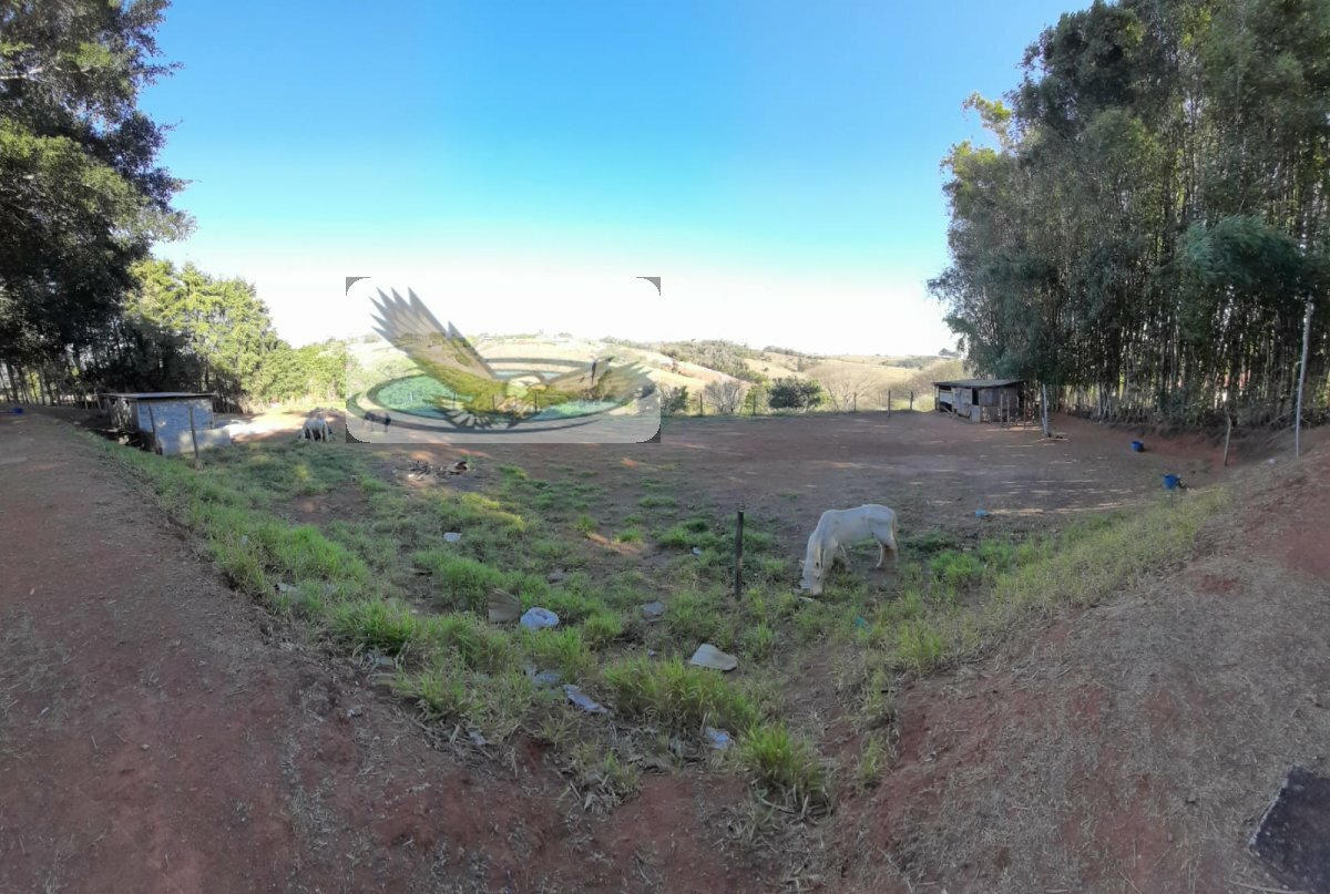 Fazenda à venda com 3 quartos, 10000m² - Foto 29