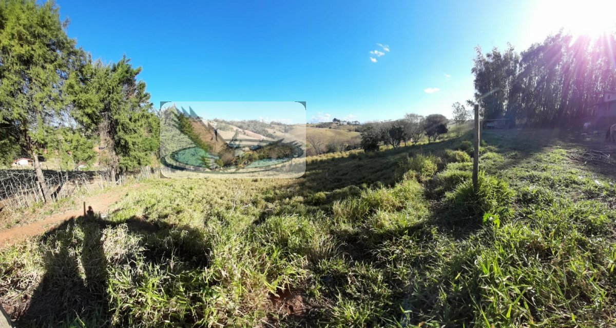 Fazenda à venda com 3 quartos, 10000m² - Foto 31