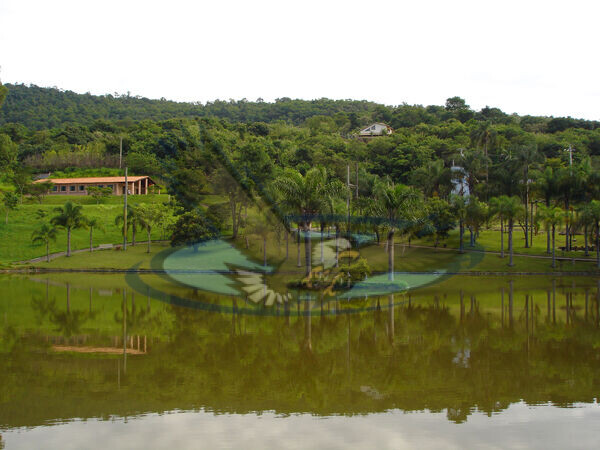 Fazenda à venda com 10 quartos, 46000m² - Foto 20