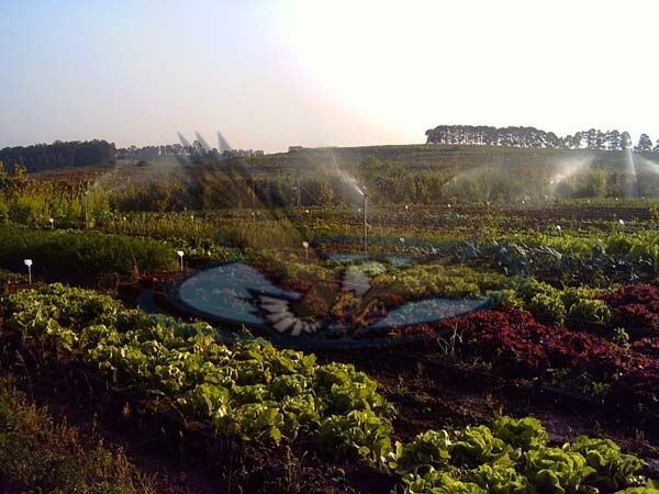 Fazenda à venda com 10 quartos, 46000m² - Foto 15