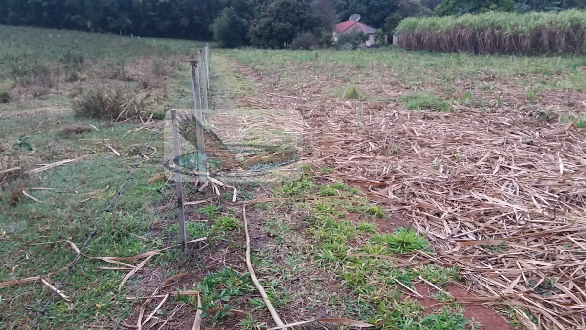 Loteamento e Condomínio à venda, 30000m² - Foto 6