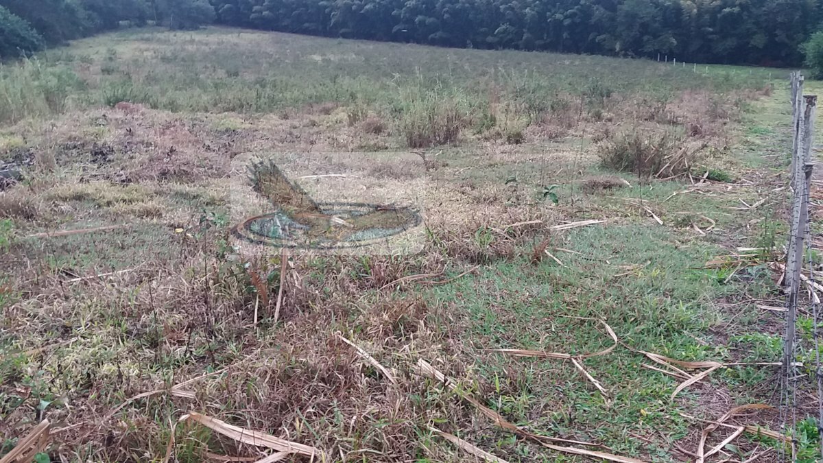 Loteamento e Condomínio à venda, 30000m² - Foto 1