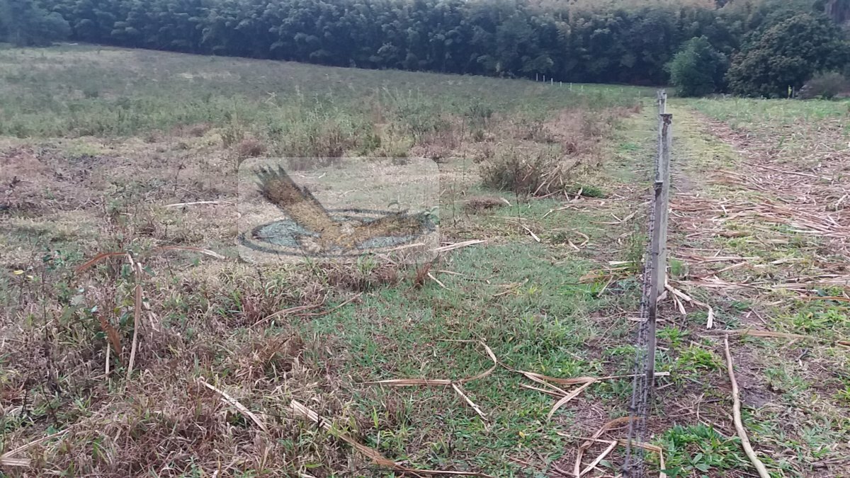 Loteamento e Condomínio à venda, 30000m² - Foto 2