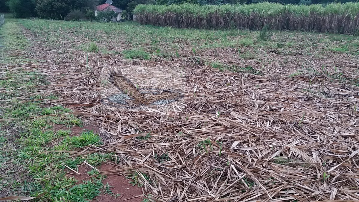 Loteamento e Condomínio à venda, 30000m² - Foto 5