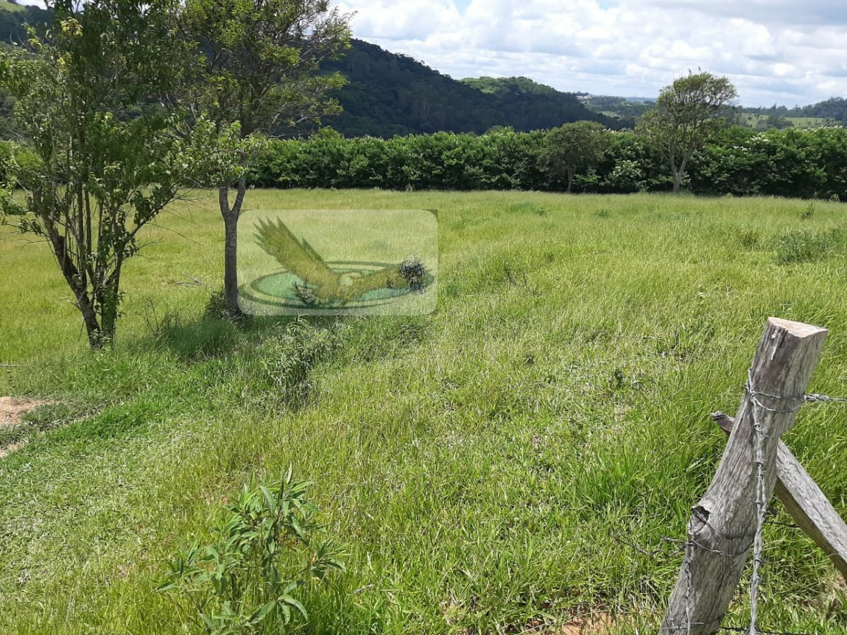 Fazenda à venda com 3 quartos, 22000m² - Foto 15