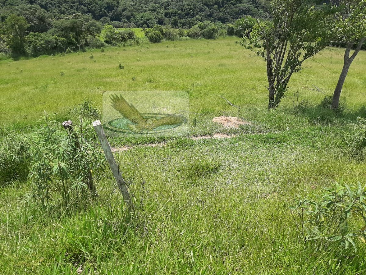 Fazenda à venda com 3 quartos, 22000m² - Foto 9