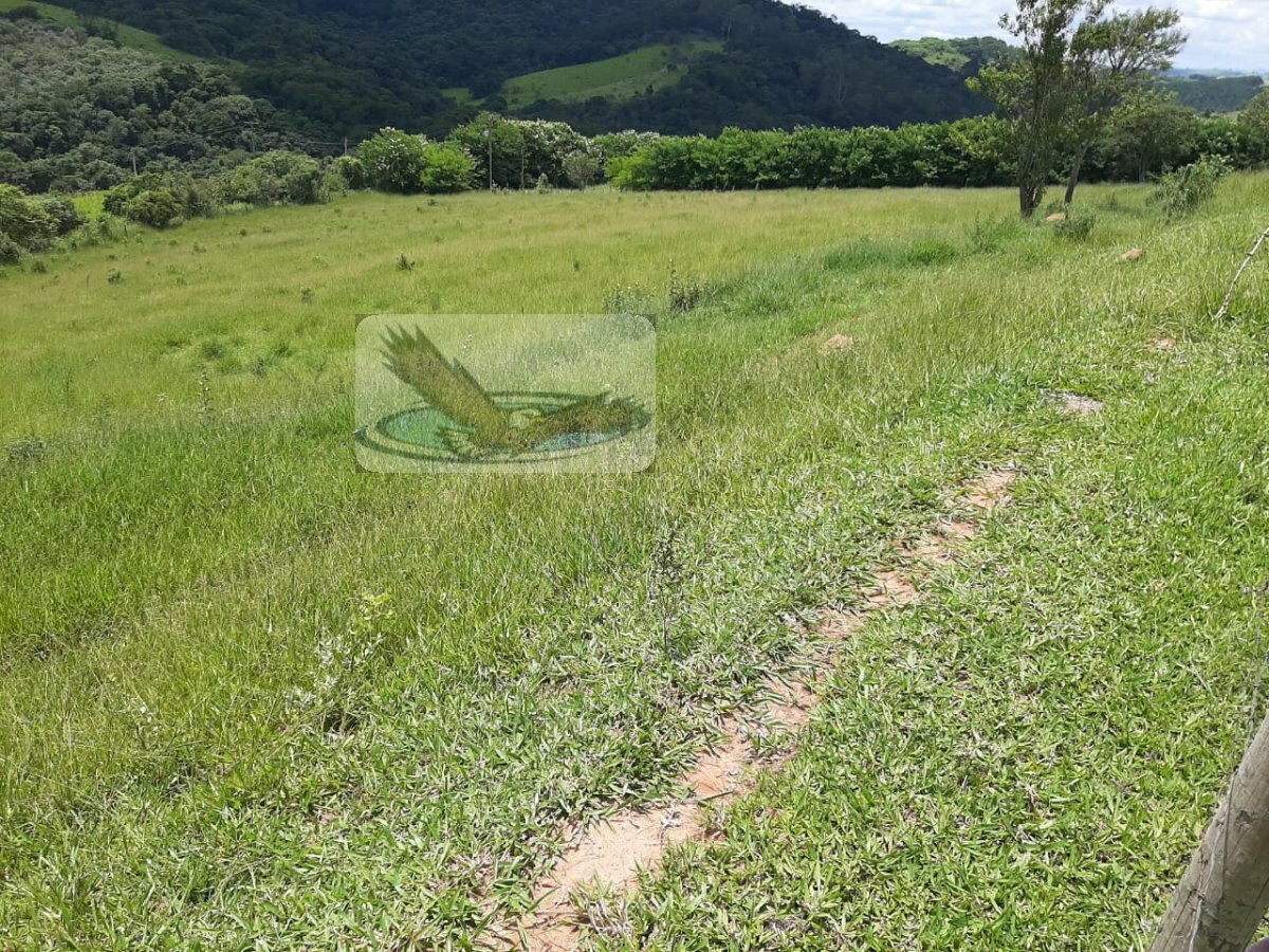 Fazenda à venda com 3 quartos, 22000m² - Foto 19