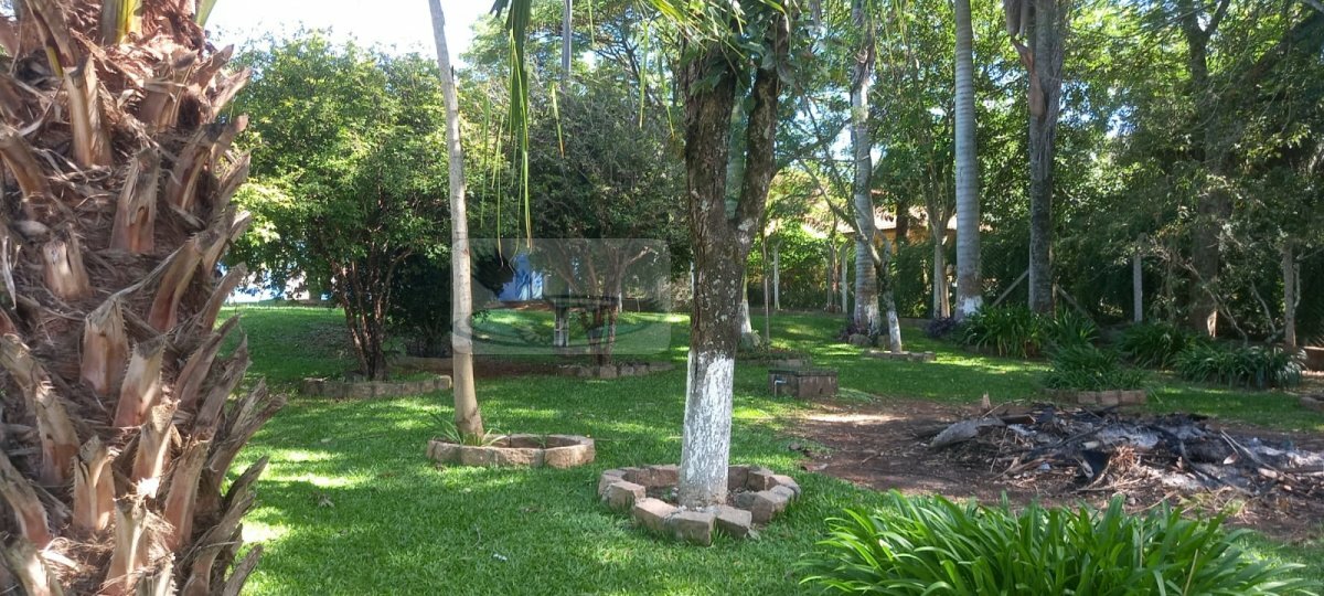 Fazenda à venda com 3 quartos, 9823m² - Foto 6