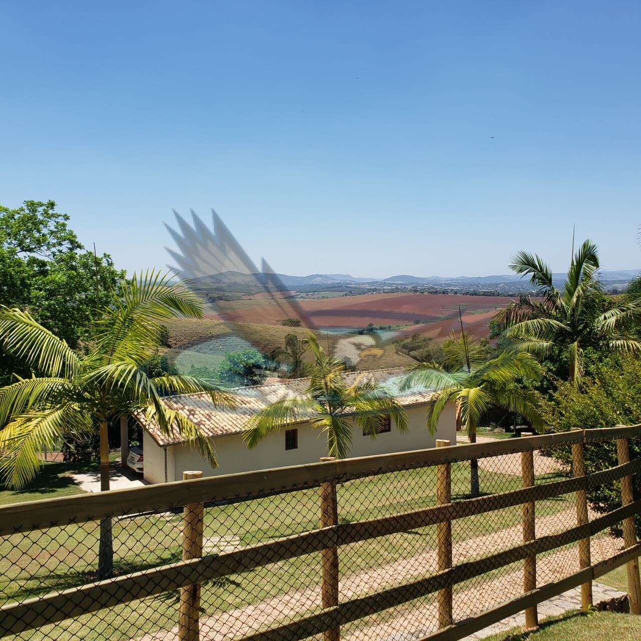 Fazenda à venda com 3 quartos, 21000m² - Foto 20