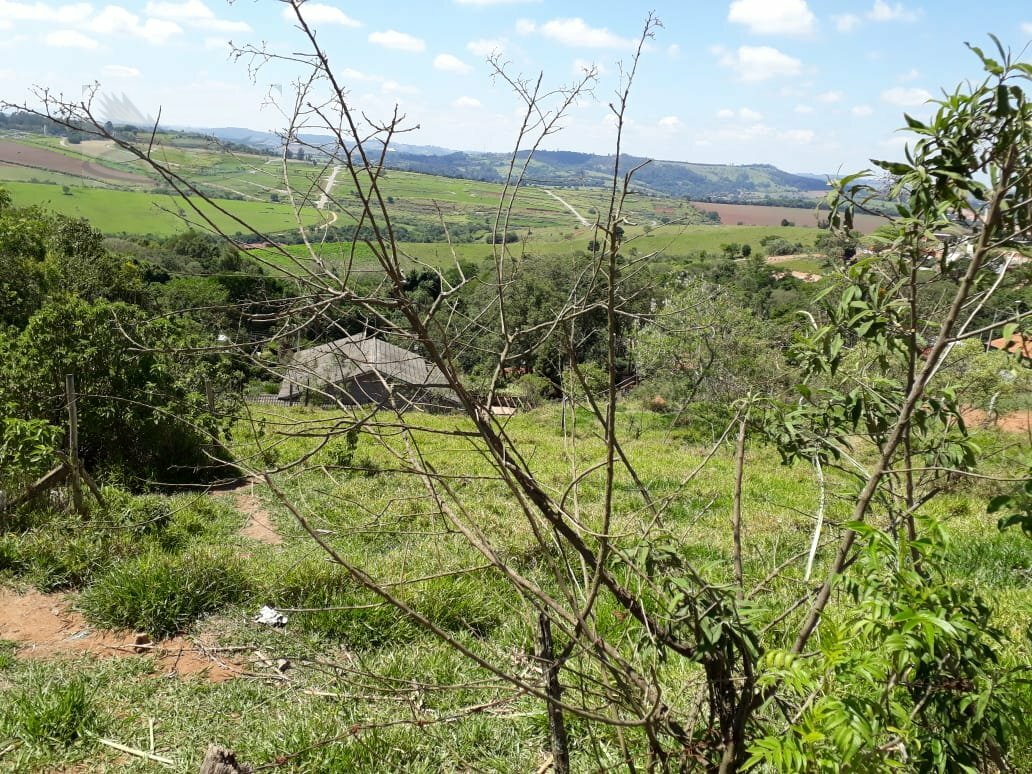 Terreno à venda, 1000m² - Foto 1