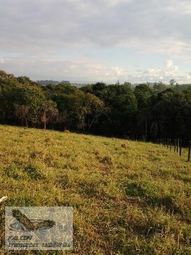 Terreno à venda, 62000m² - Foto 5