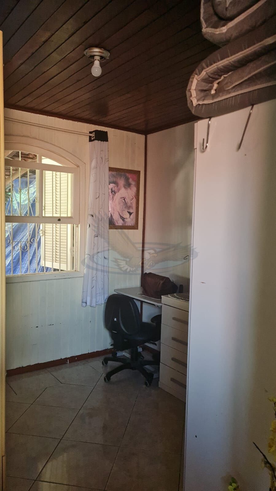 Chácara, 2 quartos, 1002 m² - Foto 5