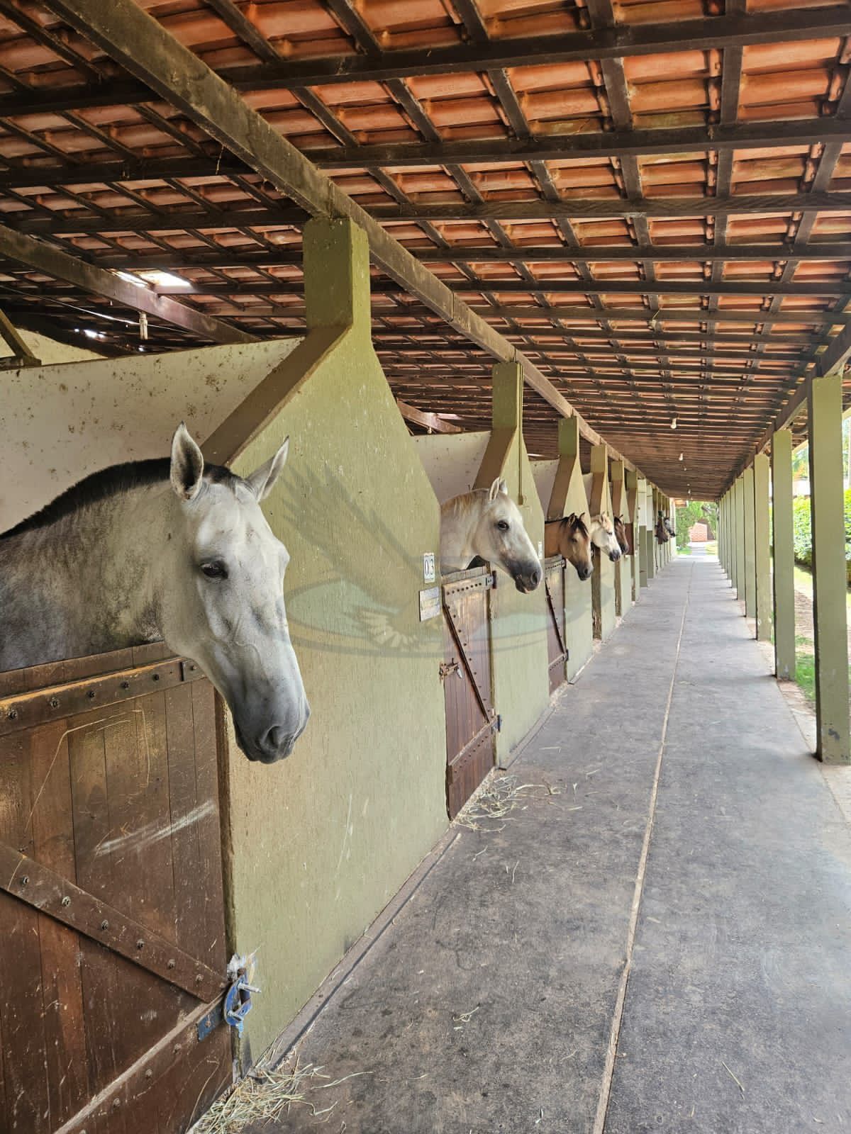 Fazenda, 4 m² - Foto 1