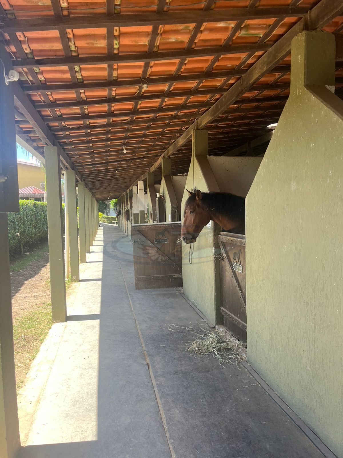 Fazenda, 4 m² - Foto 43