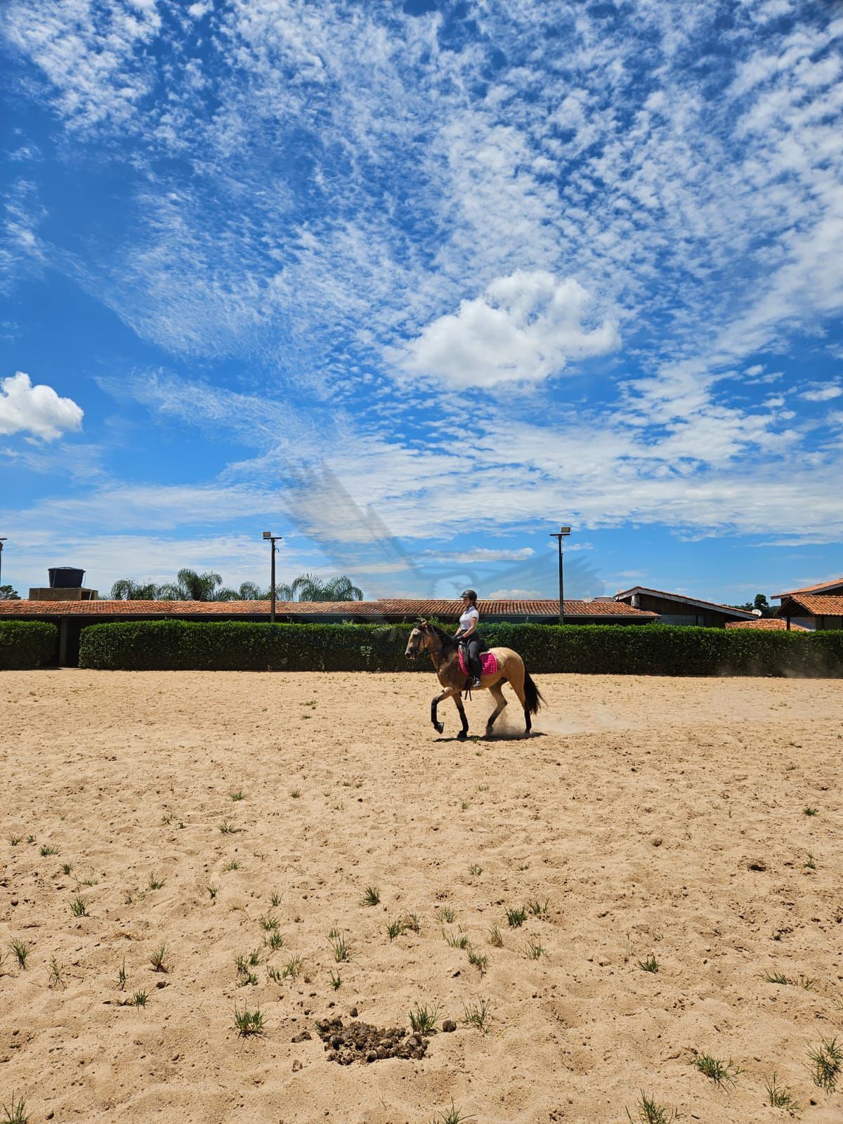 Fazenda, 4 m² - Foto 5