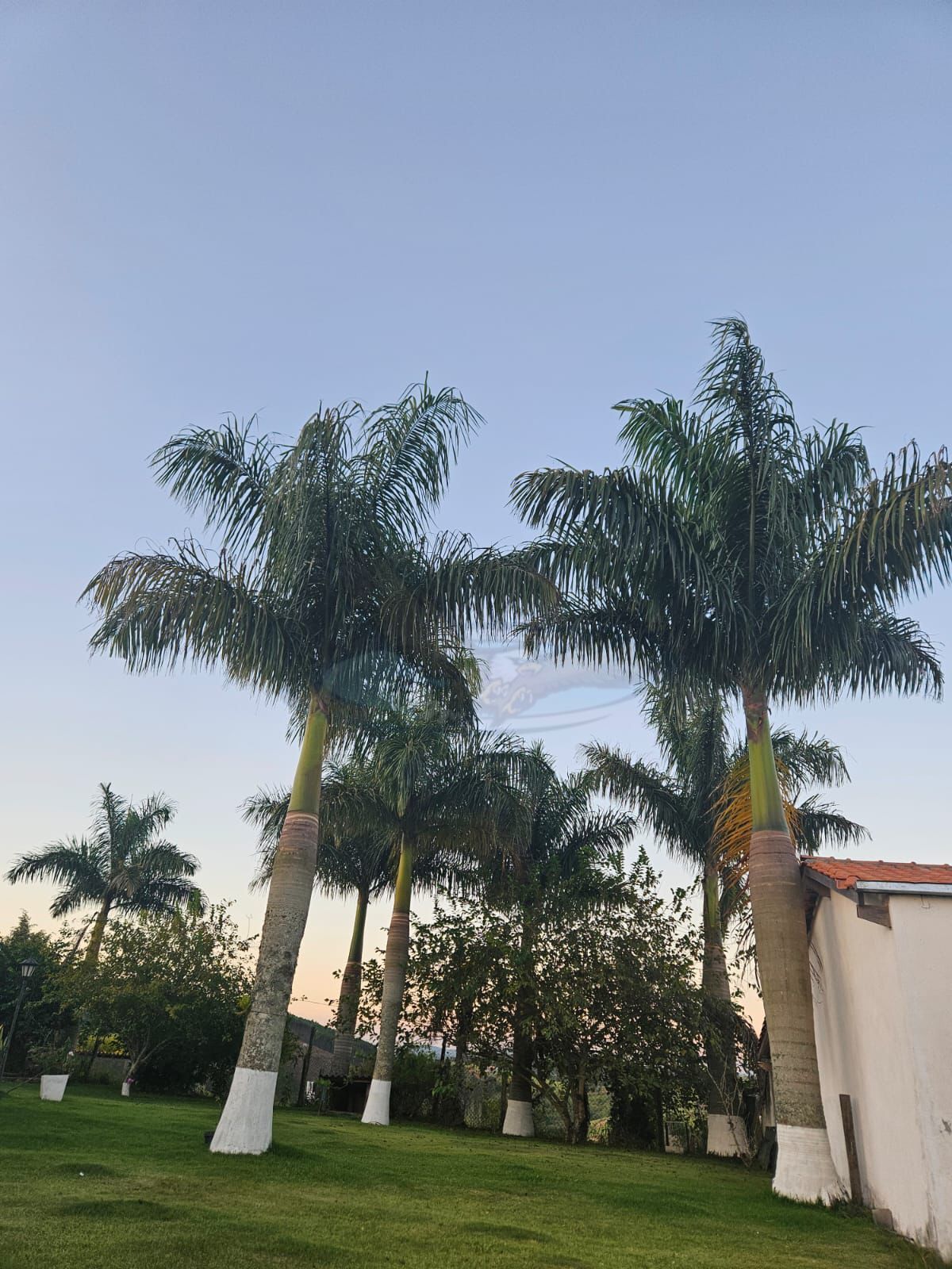 Fazenda, 4 m² - Foto 36