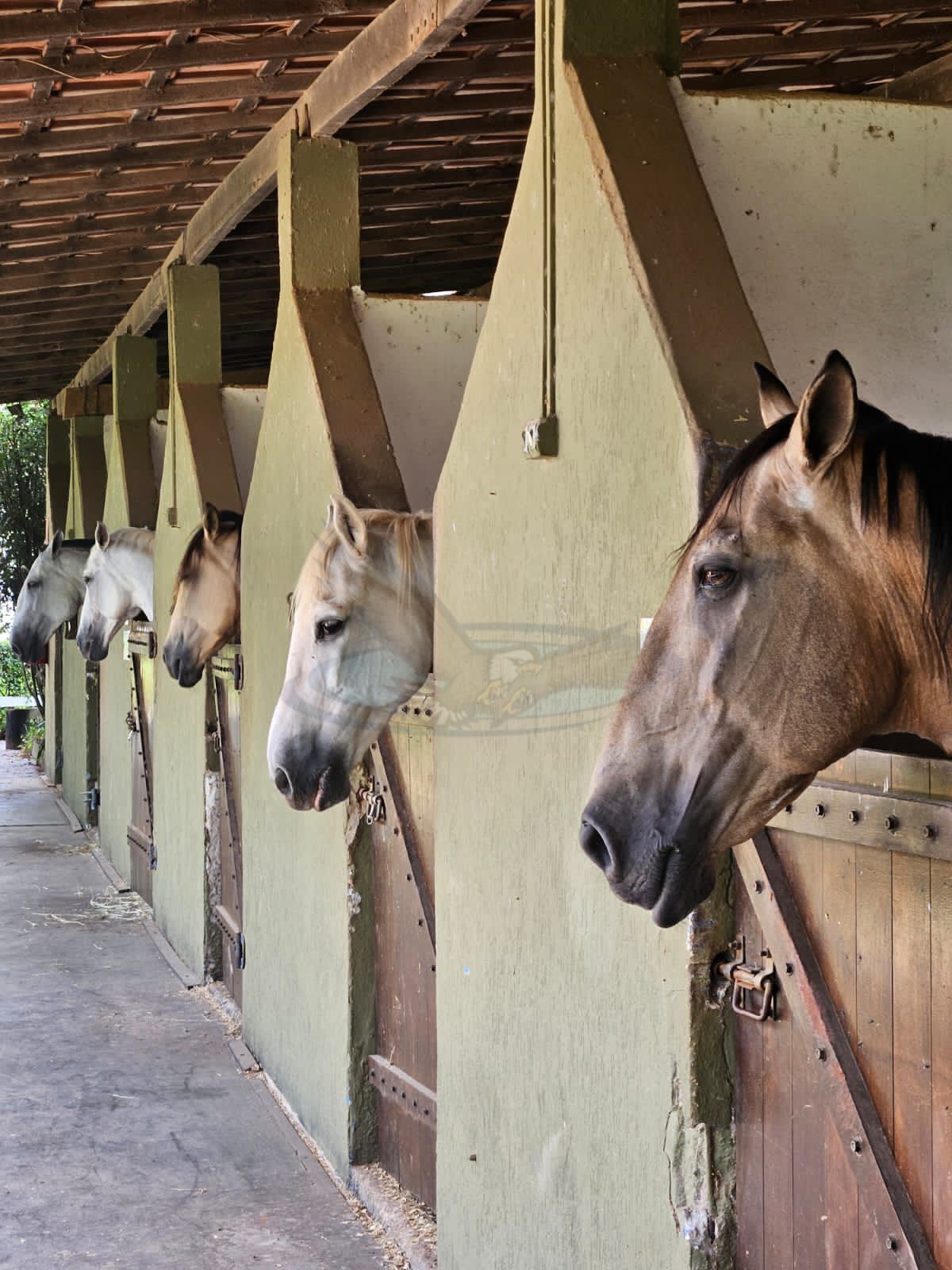 Fazenda, 4 m² - Foto 2