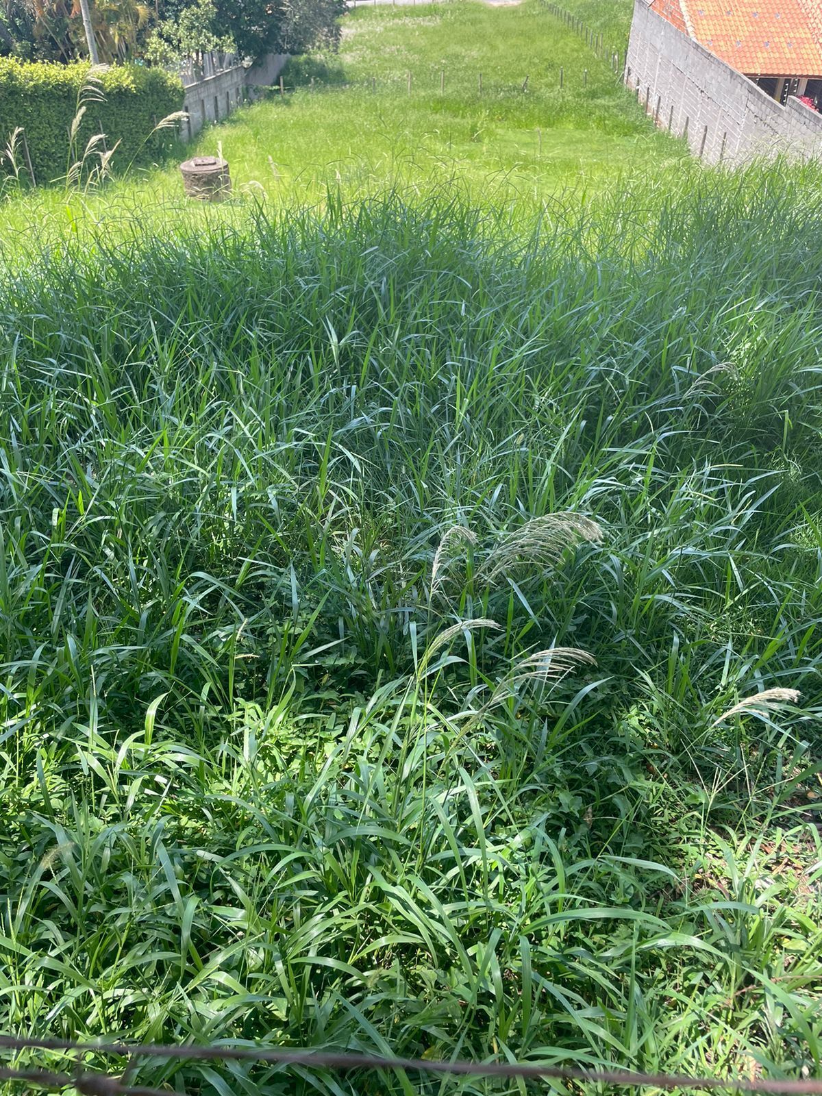 Terreno, 1000 m² - Foto 1