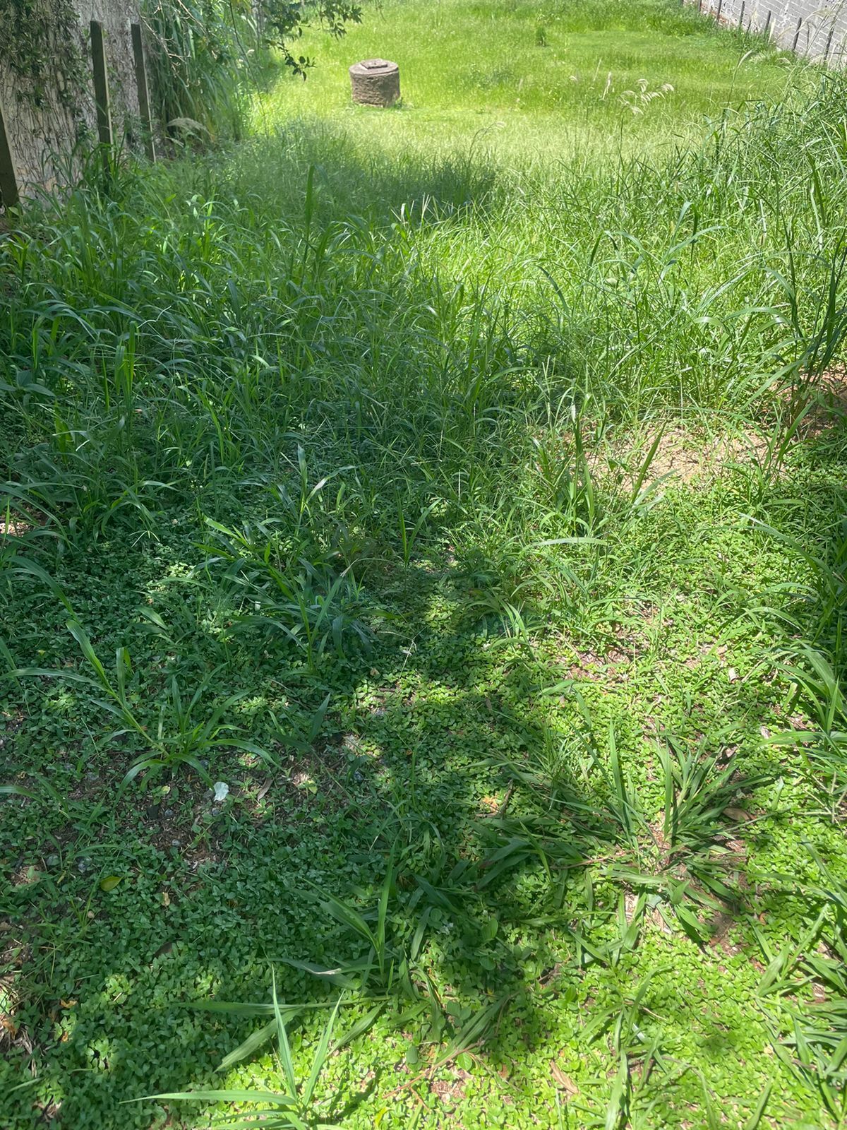 Terreno, 1000 m² - Foto 2