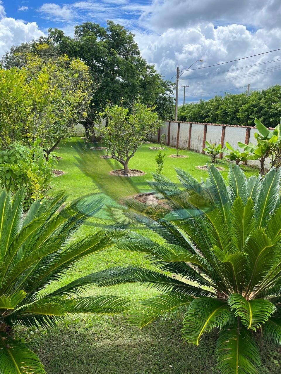 Fazenda à venda com 6 quartos, 1640m² - Foto 7