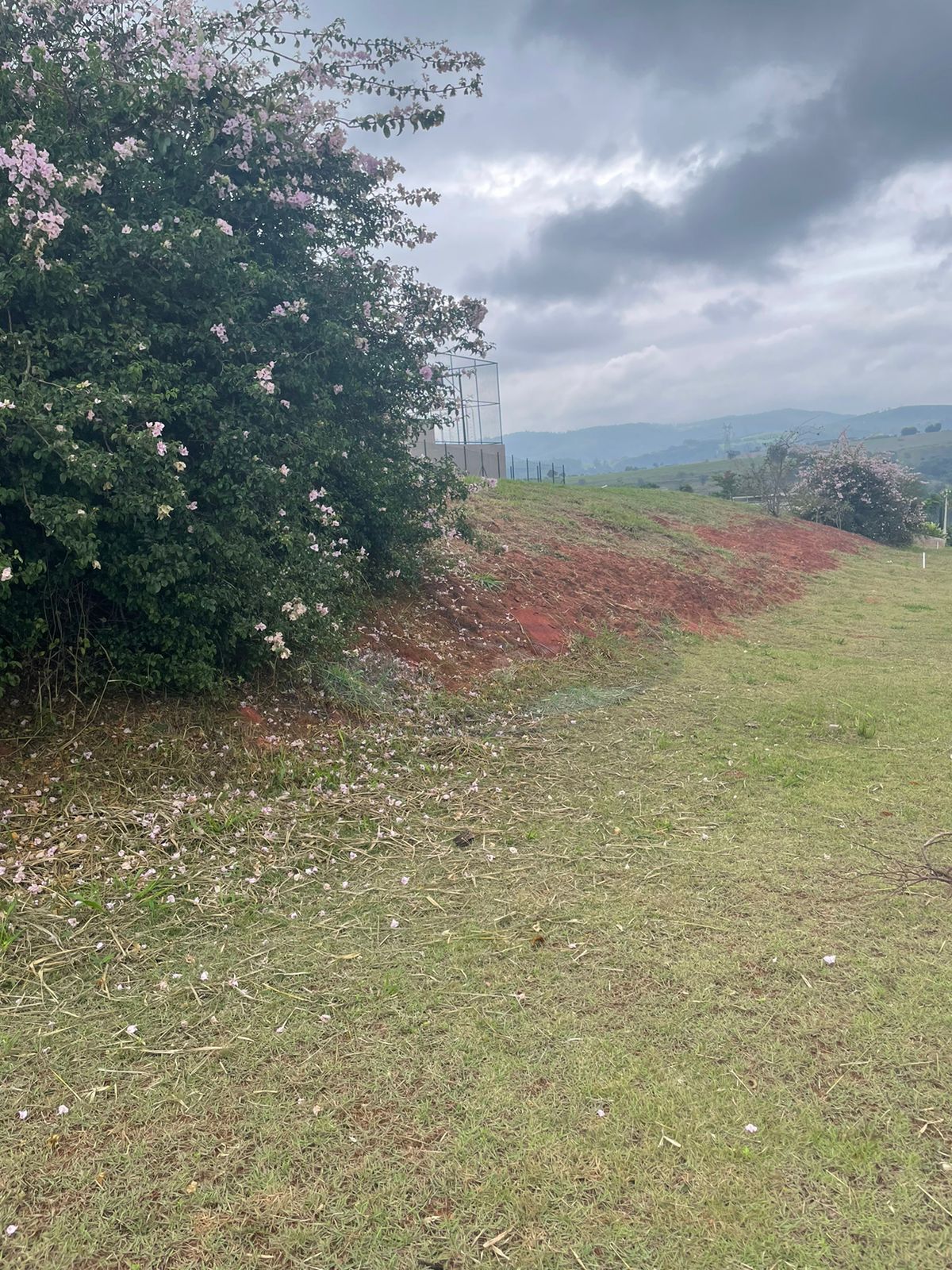 Terreno, 556 m² - Foto 5