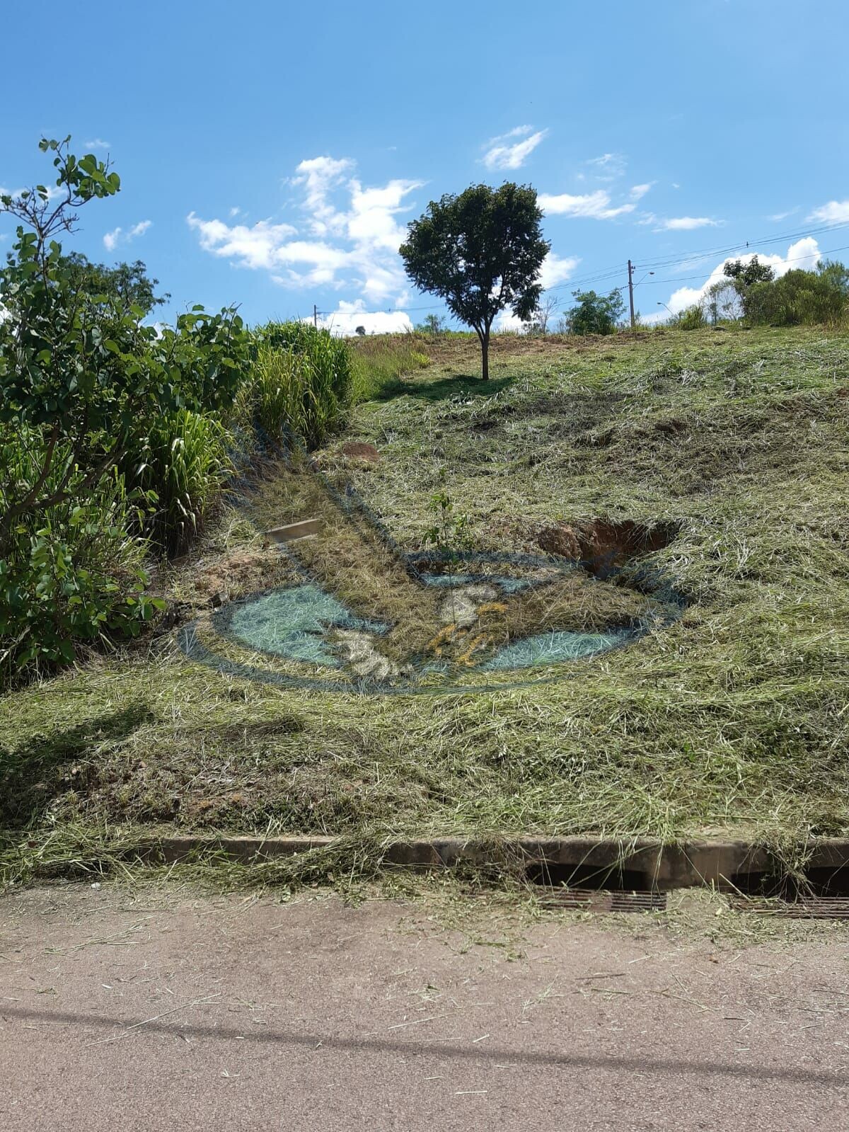 Terreno à venda, 357m² - Foto 7