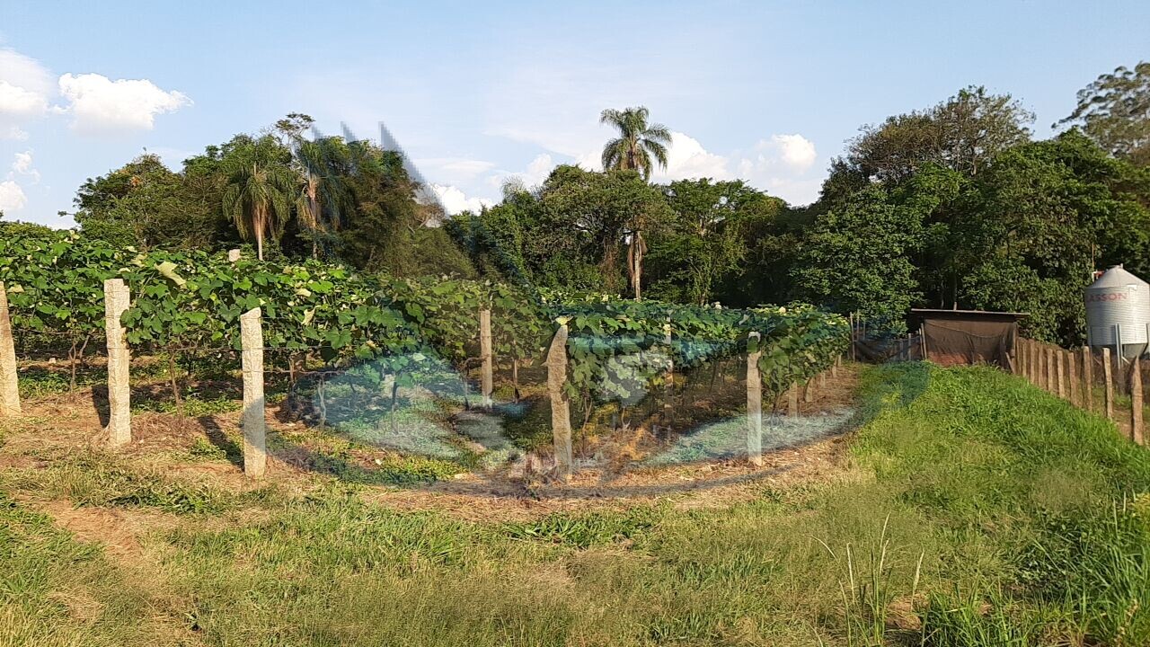 Fazenda à venda com 3 quartos, 27500m² - Foto 13