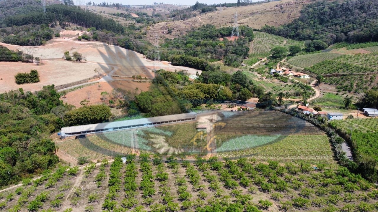 Fazenda à venda com 3 quartos, 27500m² - Foto 3